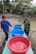 671213 ภาพ การเลี้ยงผำในอ่างพลาสติก ปสช.บิวตี้ บอส 85.jpg