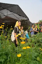 680329 นศ.ม.มหิดล คณะสาธารณสุขศาสตร์ ปี2 เยี่ยมชมดูงานสวนครอบครัวน่ารัก 29.jpg