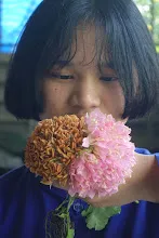680202 สสธ.ม.3 ฝึกหัดเพาะชำต้นไม้แบบควบแน่น ไปสวนไวพลัง 286.JPG