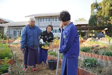 680110 สมุนพระราม ทำ 5 ส ปลูกต้นองุ่น ปรับปรุงแปลงดอกไม้ 92.jpg