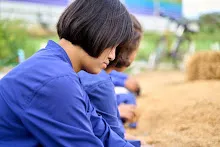 680224 วันบวร ชาวชุมชนสีแดง และ นร.ม.1 ปลูกหัวไชเท้า 153.jpg
