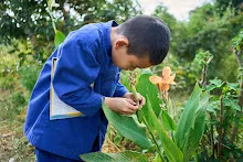 671228 สมุนพระรามเข้าค่าย เรียนการปรับปรุงพันธุ์พุทธรักษา เล่นเกมกินวิบาก พาทัวร์รถราง 31.jpg