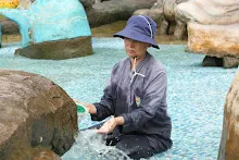 680511 ภาพโฮมแฮงขัดนำตกองค์พระพุทธธาในวันวิสาขฯ 114.jpeg