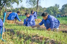 671217 สสธ.และชาวชุมขนไปถอนหญ้า แปลงหอมกระเทียม สวน 255 141.jpg