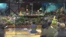 สื่อธรรมะพ่อครู ตอน สุขจัดจ้านนรกก็สุดลึก.mp4