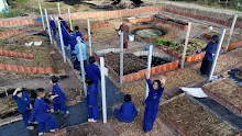 671127 ภาพมุมสูงสวนครอบครัวน่ารักเมื่อทำได้ 2 สัปดาห์ 4.jpg