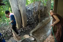 680602 วันบวรบ้านราช 39.jpg