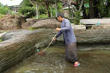 680511 ภาพโฮมแฮงขัดนำตกองค์พระพุทธธาในวันวิสาขฯ 27.jpeg