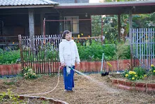 680121 สมุนพระรามยกกระถางต้นไม้แต่งสวน เปียหม่องทดลองเปิดน้ำตก 44.jpg