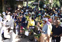 671229 ขบวนแห่พืชพันธุ์ธัญญาหารในงานเพื่อฟ้าดิน 41.JPG