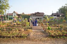 680107 สมุนพระรามดูแลสวนเช้า 53.JPG
