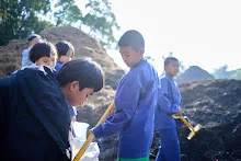 680608 สมุนพระรามเก็บเมล็ดพันธุ์ดอกไม้กินได้ที่สวน ไปขนดินปลูก 105.jpg