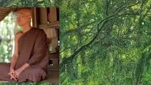 สื่อธรรมะพ่อครูการเมืองบุญนิยม ตอน ประเทศไทยมีประชาธิปไตยที่ดีสุด.mp4