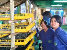 680212 สสธ.ไปทัศนศึกษาที่งานเกษตรอีสานใต้ ม.อุบล 11.jpg