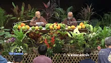 สื่อธรรมะพ่อครู ตอน ทำไมพ่อครูต้องดันสุรังตำหนิหลวงตามหาบัว-_.mp4