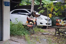 671016 เยี่ยมบ้านชนะชัย ที่บุรีรัมย์ บิณฯเช้า เยือนประสาทหินเขาพนมรุ้ง42.jpg
