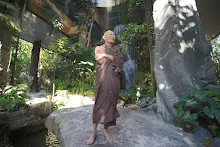 DSC02716.JPG