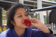 680202 สสธ.ม.3 ฝึกหัดเพาะชำต้นไม้แบบควบแน่น ไปสวนไวพลัง 367.JPG