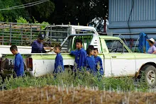 680603 รวมพลังปลูกแฝก วันเฉลิมพระชนมพรรษา สมเด็จพระนางเจ้าสุทิดา 41.jpeg