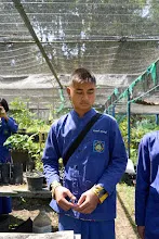 680202 สสธ.ม.3 ฝึกหัดเพาะชำต้นไม้แบบควบแน่น ไปสวนไวพลัง 25.jpg