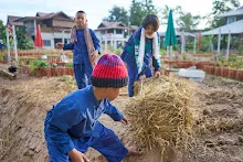 671210 สมุนพระรามขนฟางปูสวนครอบครัวน่ารัก 4.jpg