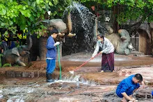 680314 ขัดน้ำตก วันเลี้ยงส่ง ม.3 ม.6 สสธ. 93.jpeg
