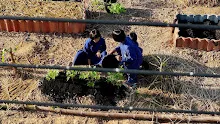 671127 ภาพมุมสูงสวนครอบครัวน่ารักเมื่อทำได้ 2 สัปดาห์ 40.jpg
