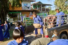 671221 เช้าสมุนพระรามดูแลสวน และขนหินทำน้ำตก บ่ายเล่นเกมกับครูโหน่ง 138.jpg