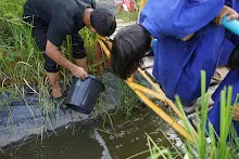 680524 เปิดเทอมวันแรก สมุนพระราม เข้าค่ายเปิดเทอม 81.jpeg