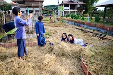 671210 สมุนพระรามขนฟางปูสวนครอบครัวน่ารัก 77.jpg