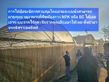 680210 ประชุมการศึกษาบุญนิยม ที่เนินพอกิน งานพุทธา 38.jpeg