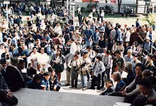 217.jpg