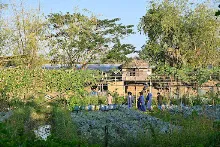 680209-12 นร. Horizon Middle School จาเกาหลี ศึกษาวัฒนธรรมบุญนิยม  บ้านราช 23.jpg