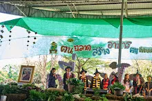 671230 สมุนพระรามแสดงร้องเพลง พิธีเปิดงานเพื่อฟ้าดิน คนมาดูงาน ทำ5ส ทำสวนบ่าย 287.jpg