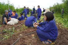 680623  เด็กสมุนพระรามร่วมทำงานขุดมันเทศ ในวันนบวร 89.jpeg