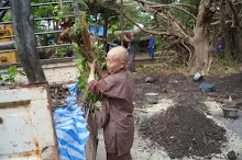 680602 สมุนพระราม และ สสธ.ขนทรายและปรับพื้นที่หน้าเฮือนศูนย์สูญ 28.JPG