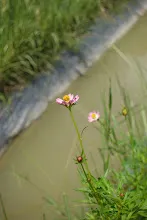 ZV_08312.JPG