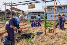 671216 สมุนพระราม ห่มดินสวนน่ารักด้วยฟางข้าว วัดระดับน้ำคลองไส้ไก่ 89.jpg