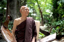 SD180264 copy.JPG