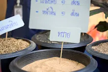 680419 ครูดีไม่มีอบายมุข รุ่น 14 เข้า work shop สวนครอบครัวน่ารัก 373.jpg