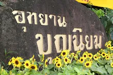 IMG_7355.JPG