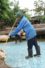 680511 ภาพโฮมแฮงขัดนำตกองค์พระพุทธธาในวันวิสาขฯ 26.jpeg