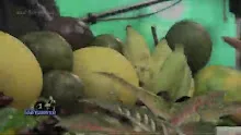 สื่อธรรมะพ่อครู(ศีล สมาธิ ปัญญา) ตอน คนจะดีต้องมีศีล.mp4