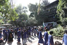 IMG_9278.JPG