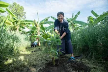 680603 รวมพลังปลูกแฝก และทองหลาง วันเฉลิมพระชนมพรรษา สมเด็จพระนางเจ้าสุทิดา 9.jpeg