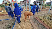 671130 เช้าปลูกต้นบล็อคเคอลี่ สวนครอบครัวน่ารัก 11.jpg