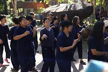 671229 ขบวนแห่พืชพันธุ์ธัญญาหารในงานเพื่อฟ้าดิน 38.JPG
