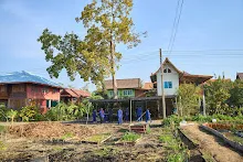 680123 สสธ.ม.4 ช่วยกางเต๊นท์เรือนเพาะชำสวนครอบครัวน่ารัก 1.jpg