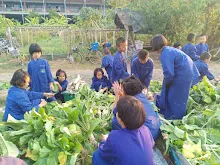 LINE_ALBUM_680219 สมุนพระรามเก็บหัวไชเท้า_250225_51.jpg