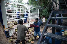680602 วันบวรบ้านราช 6.jpg